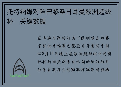 托特纳姆对阵巴黎圣日耳曼欧洲超级杯：关键数据